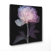 Etere Floreale